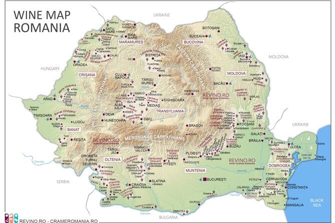 Wine Tasting in Bucharest long version - Who Should Consider This Tour?