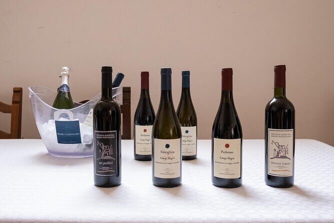 Wine Tasting in Campi Flegrei from Naples - Practical Tips for Your Visit