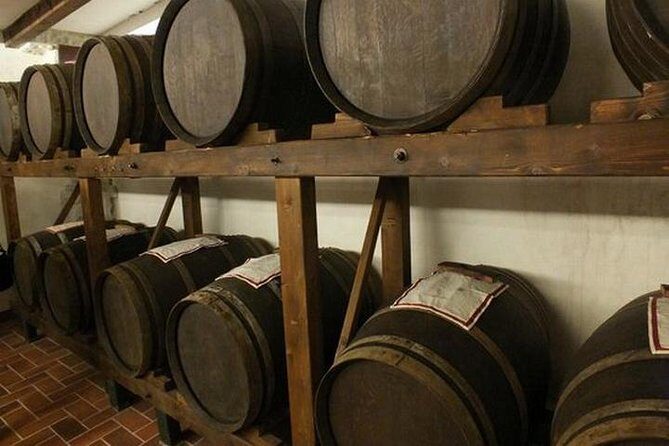 Wine tasting in Chianti, visiting Castellina, in Tuscany from Rome - The Sum Up: Is This Tour Worth It?