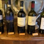 Wine tasting in Pisa with sommelier - The great wines of Tuscany - The Itinerary and What You Can Expect