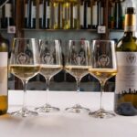 Wine tasting in San Gimignano - Who Should Book This Experience?