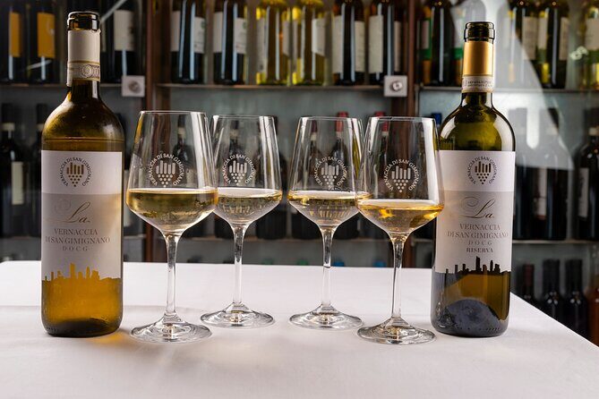 Wine tasting in San Gimignano - Who Should Book This Experience?