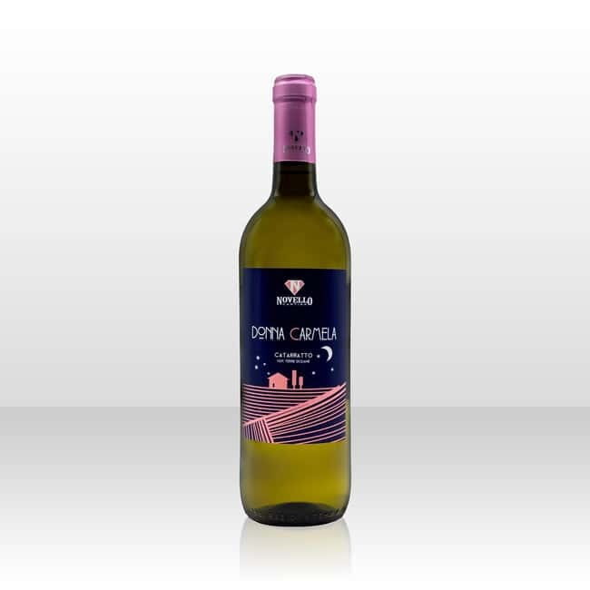 Wine tasting in the cellar - Who Will Love This Tour?