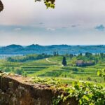 Wine tasting in the Collio wine area, guided tour of Cividale. - Authentic Experiences and Authenticity