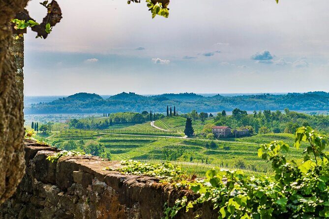 Wine tasting in the Collio wine area, guided tour of Cividale. - Authentic Experiences and Authenticity