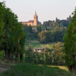 Wine Tasting in the Heart of Monferrato - Discovering Grignolino - Analyzing the Value
