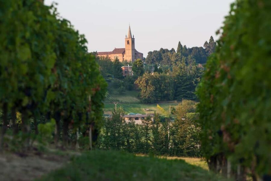 Wine Tasting in the Heart of Monferrato - Discovering Grignolino - Analyzing the Value