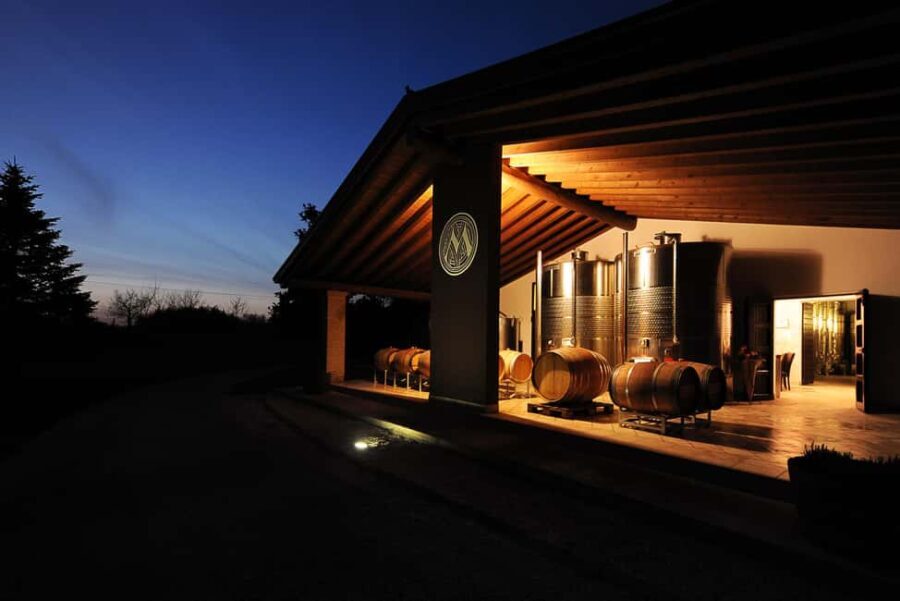 Wine tasting in the morainic hills at Tenuta Maddalena - Who Should Consider This Tour?
