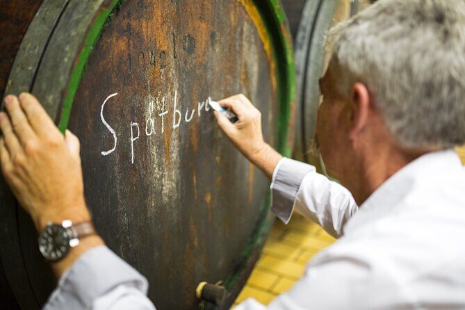 Wine Tasting in the Winery in Kröv - Who Should Consider This Tour?