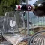 Wine tasting in TWO family wineries around Florence - Who Will Love This Tour?