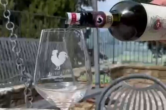 Wine tasting in TWO family wineries around Florence - Who Will Love This Tour?