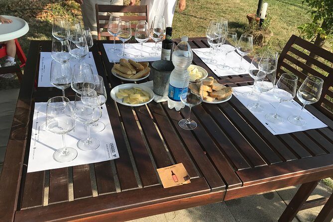 Wine tasting in Versilia with sommelier - 5 wines and local products - The Setting and Atmosphere