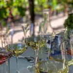 Wine Tasting Including Lunch - Why This Tour Might Be Perfect for You