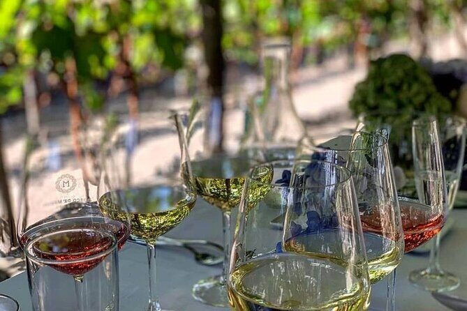 Wine Tasting Including Lunch - Why This Tour Might Be Perfect for You