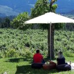 Wine Tasting & Lunch from Porto | Quinta de Santa Cristina - Practical Tips for Your Visit