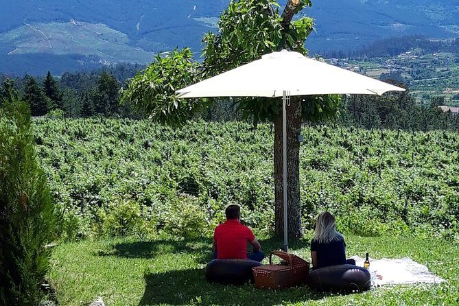 Wine Tasting & Lunch from Porto | Quinta de Santa Cristina - Practical Tips for Your Visit