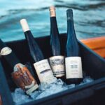 Wine tasting on traditional wooden boats in Wachau Valley - Analyzing the Value