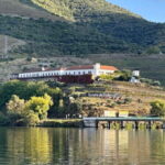 Wine Tasting QT textures of Rosé - Sunset vibe - Why This Tasting Tour Stands Out