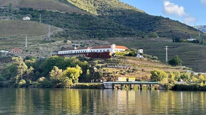 Wine Tasting QT textures of Rosé - Sunset vibe - Why This Tasting Tour Stands Out