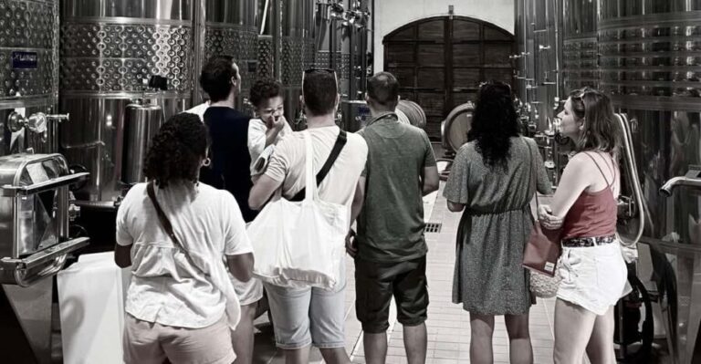 Wine Tasting Saint-Florent & Patrimonio - Exploring the Heart of Corsica’s Wine Country