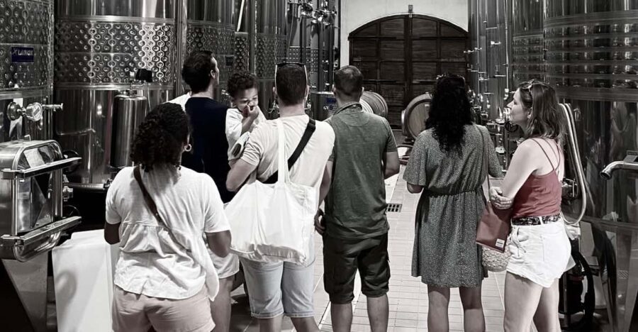 Wine Tasting Saint-Florent & Patrimonio - Exploring the Heart of Corsica’s Wine Country