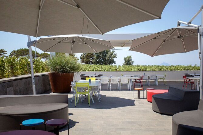 Wine tasting THE CLASSICS - The Sum Up: Who Should Sign Up?
