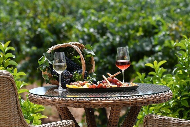 Wine Tasting Tour at Two Wineries in Urla Turkey - The Sum Up: Is This Tour Worth Your Time and Money?