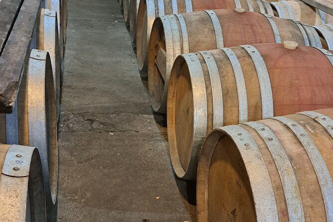 Wine Tasting Tour in Napier Region - A Closer Look at the Itinerary