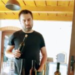 Wine Tasting Tour in Tokaj Wine Region Slovakia. With transport - An Authentic Journey Through the Heart of Tokaj