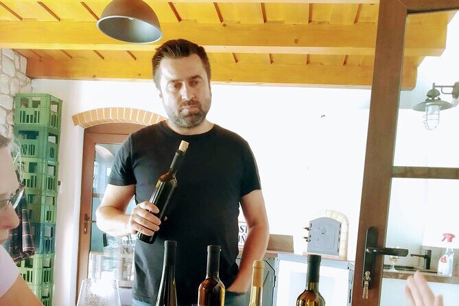 Wine Tasting Tour in Tokaj Wine Region Slovakia. With transport - An Authentic Journey Through the Heart of Tokaj