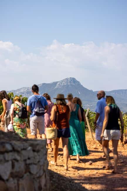 Wine tasting tour - Le Pradet - A Closer Look at the Le Pradet Wine Tasting Experience