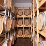 Wine tasting tour, Optional wine yard tour and kayak rides - Practical Details and Value