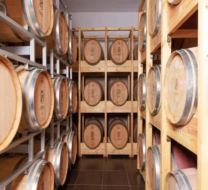 Wine tasting tour, Optional wine yard tour and kayak rides - Practical Details and Value