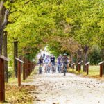 Wine tasting tour with olive oil and salami - The Vineyard and Production