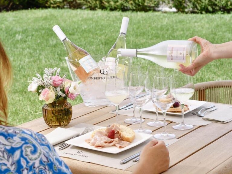Wine Tasting with Food Pairing near Bologna - The Breakdown: Why This Tour Works