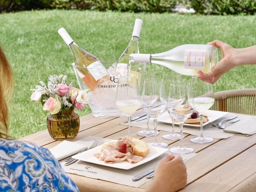 Wine Tasting with Food Pairing near Bologna - The Breakdown: Why This Tour Works
