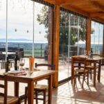Wine Tasting with Local Food Pairing near Livorno - A Closer Look at the Experience