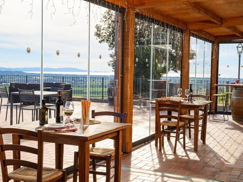 Wine Tasting with Local Food Pairing near Livorno - A Closer Look at the Experience