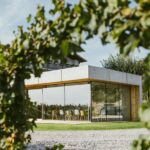 Wine Tasting with Pairing Snacks in Vipava Valley - What to Expect During the Tour
