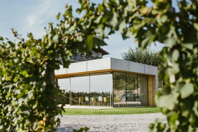 Wine Tasting with Pairing Snacks in Vipava Valley - What to Expect During the Tour