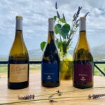 Wine tastings around Calvi & Île-Rousse - Who Will Love This Experience?