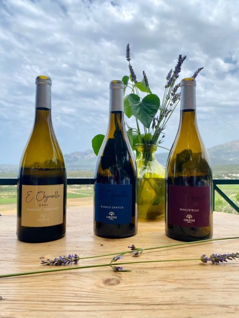 Wine tastings around Calvi & Île-Rousse - Who Will Love This Experience?