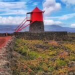 Wine Tour - FAQ