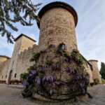 Wine Tour 6 hours 2 top wineries of Chianti Classico Limo Service - Who Would Love This Tour?