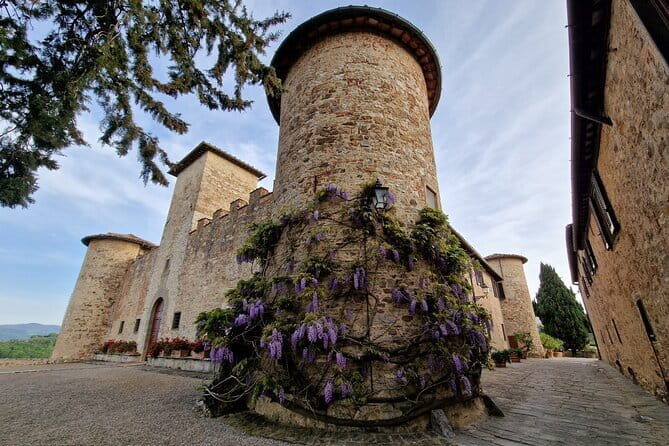 Wine Tour 6 hours 2 top wineries of Chianti Classico Limo Service - Who Would Love This Tour?