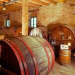 Wine Tour and Tasting at Le Marche's Oldest Wine Estate - The Value of a Short but Authentic Tour