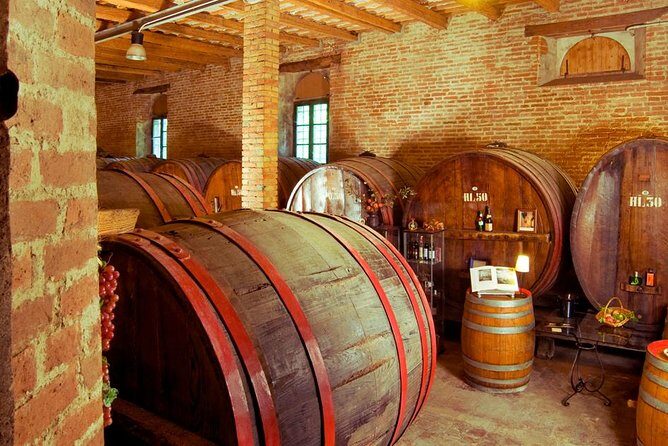 Wine Tour and Tasting at Le Marche's Oldest Wine Estate - The Value of a Short but Authentic Tour