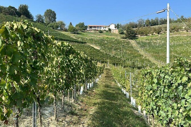 Wine Tour and tasting in the Monferrato - Premium - Authenticity and Authentic Experiences
