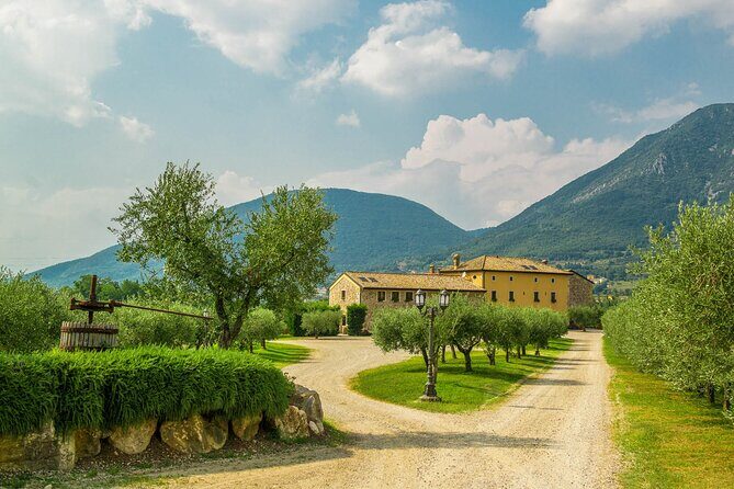 Wine Tour and Tasting on Garda Hills - Who Should Book This Tour?