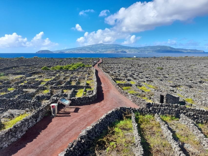 Wine Tour and Tasting with a local Winemaker at Pico Island - Why You Should Consider This Tour